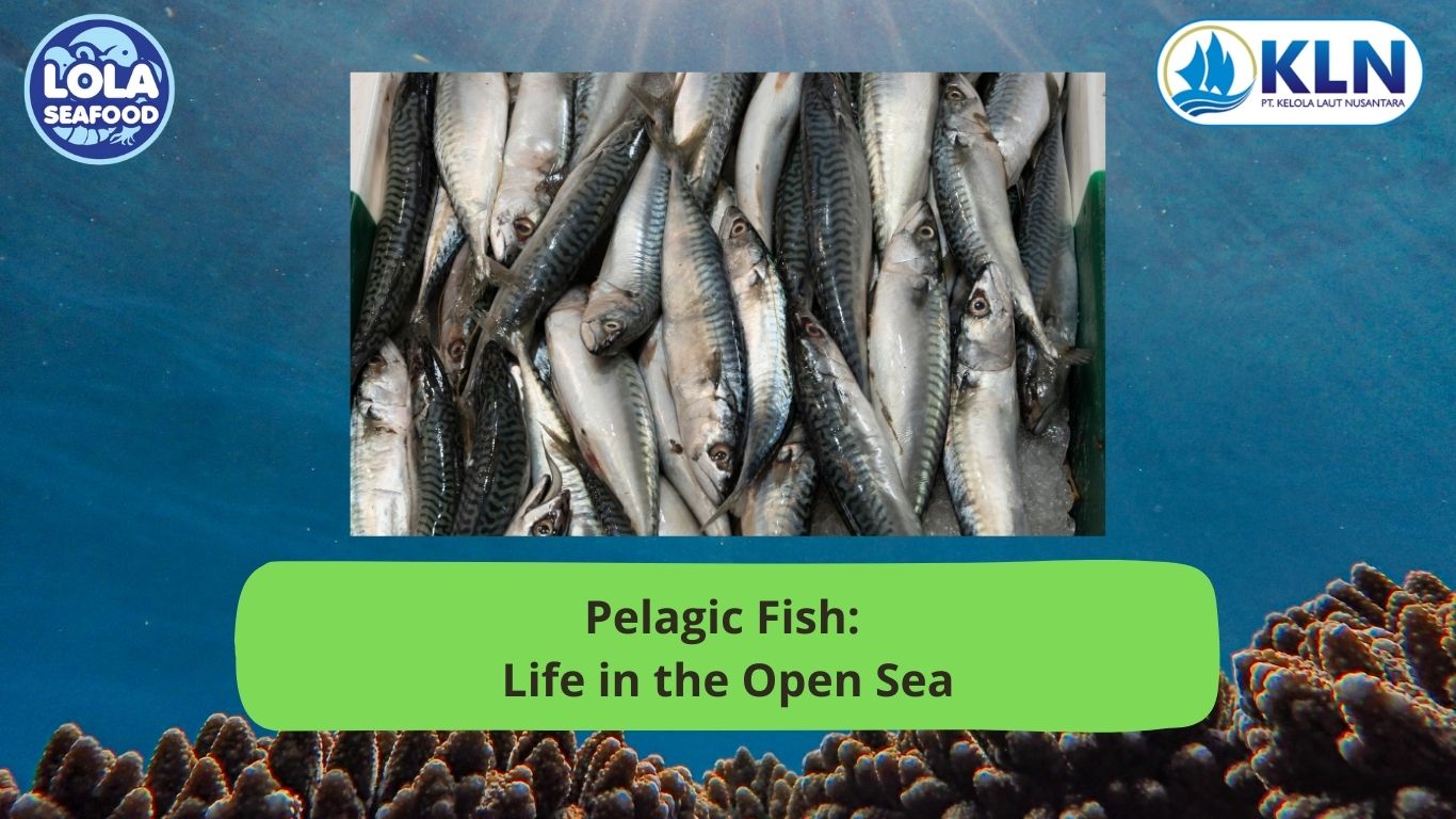 Pelagic Fish: Life in the Open Sea